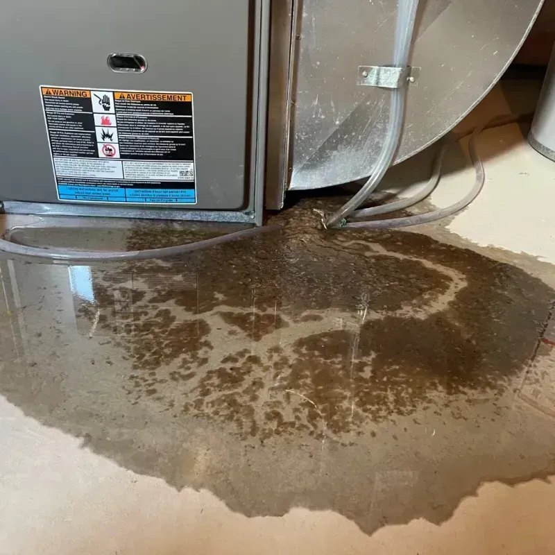 Appliance Leak Cleanup in Clay County, IA